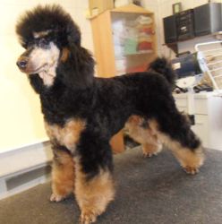 Winni6Mo 003